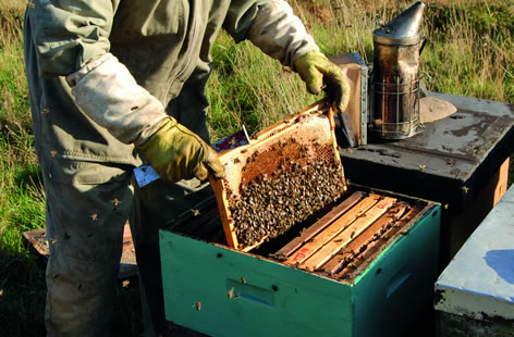 Scottish honey